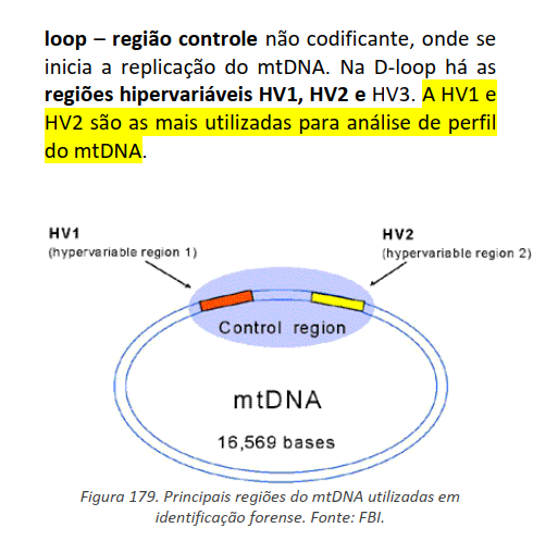 Trecho da apostila — regiões hipervariáveis HV1, HV2 e HV3 do DNA mitocondrial